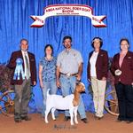 FNHR Top Shelf wins her class at the 2012 ABGA Nationals.....