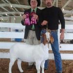 FNHR Lady Luck wins Overall Reserve Grand Champioin % Doe in NC......