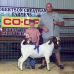 FNHR Diesel was recently sold and has been making a big impact at the TN Fairgrounds for this young man..........