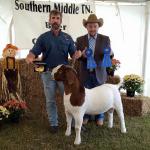 FNHR El Grande's first Overall Grand Champion title...