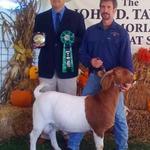 Wins his first Overall GC Buck title at 8 months of age.....not to bad.....