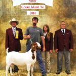 QB Threatcon Delta places 6th at 2014 ABGA Nationals.....  Sire of FNHR Delta Force........