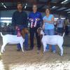 FNHR Boldacious (R) is out of Martin Farms 2DOX/AABG Bold Rush and our Bo Jangle's daughter DCW BJ's Miss Raider. She was born on 20 Feb 2010.  She has moved to PA.....