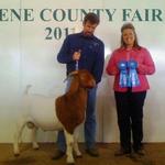 Cat's Shadow was the Overall Res Grand Champion at the 2d show this weekend at 9-months and 3 days....  