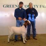 One Ton Dually's little buck kid takes Overall Res Grand Champion Buck during the 3rd show at 41/2 months of age....  This was at the same show One Ton Dually won his first Overall Grand Championship at 4/12 months of age......a true blessing......