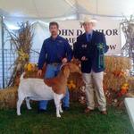 Getting better with time.........  Gretchen was the Overall Grand Champion at Goats, Music, and More Show.......